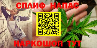 шишки Лесосибирск