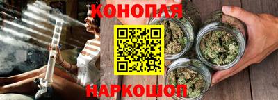 шишки Лесосибирск