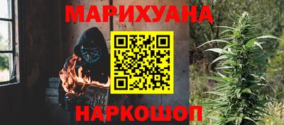 шишки Лесосибирск