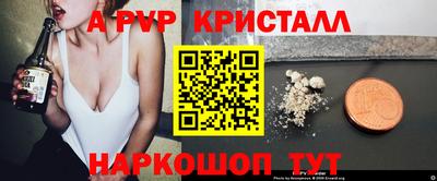 шишки Лесосибирск