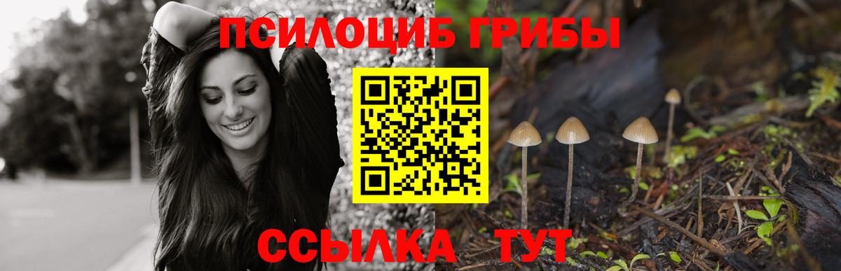 Галлюциногенные грибы ЛСД  Галлюциногенные грибы GOLDEN TEACHER  Вход с VPN  Воронеж 